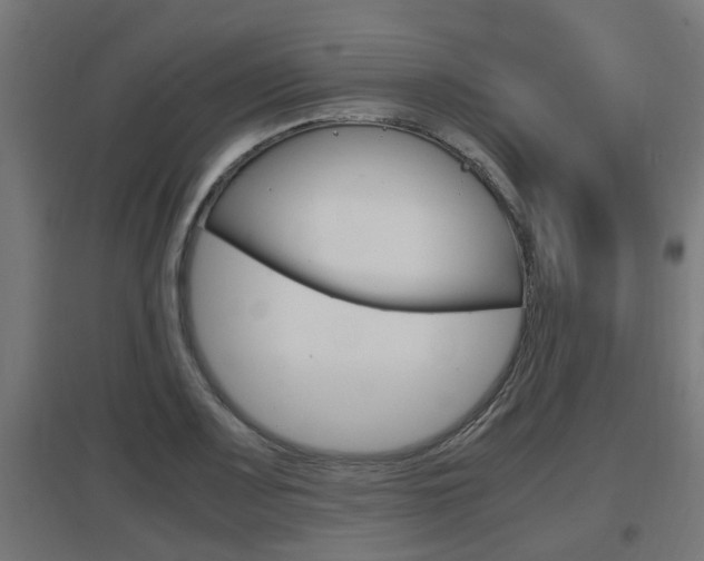 X0000097661083200802290916