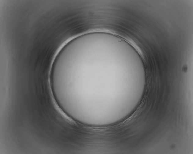 X0000097661084200802290916