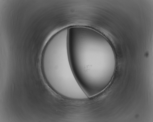X0000097661085200802290916