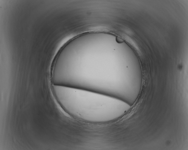 X0000097661087200802290916