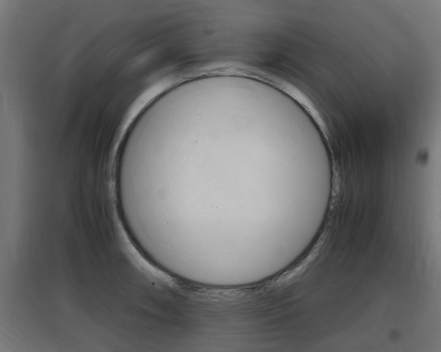 X0000097661090200802290916
