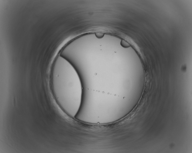 X0000097661091200802290916