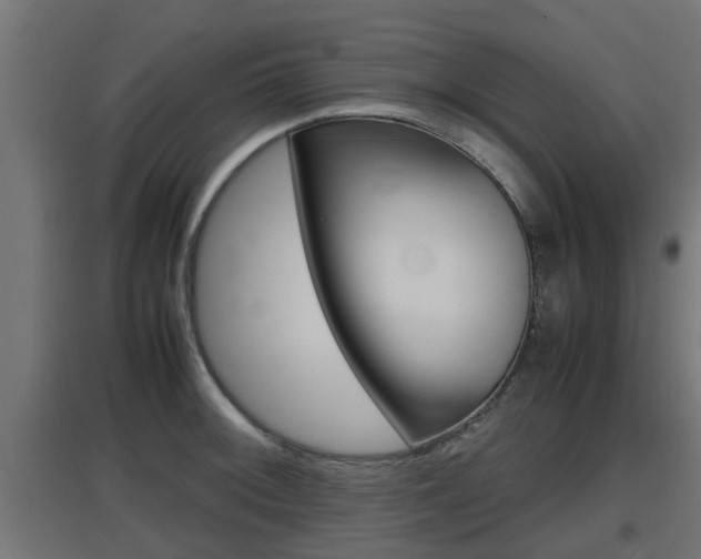 X0000097661092200802290916