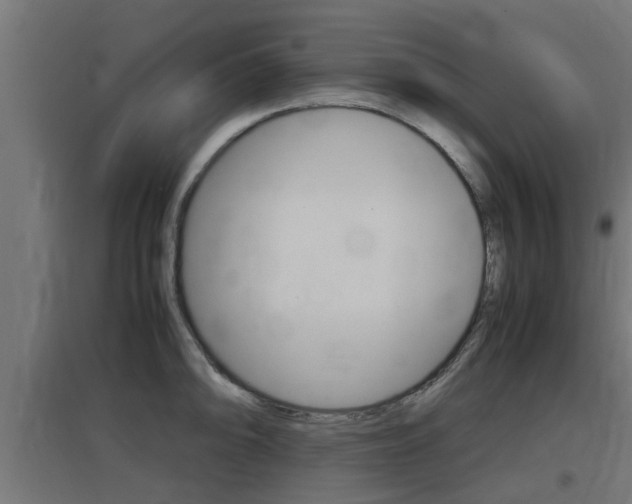 X0000097661094200802290916