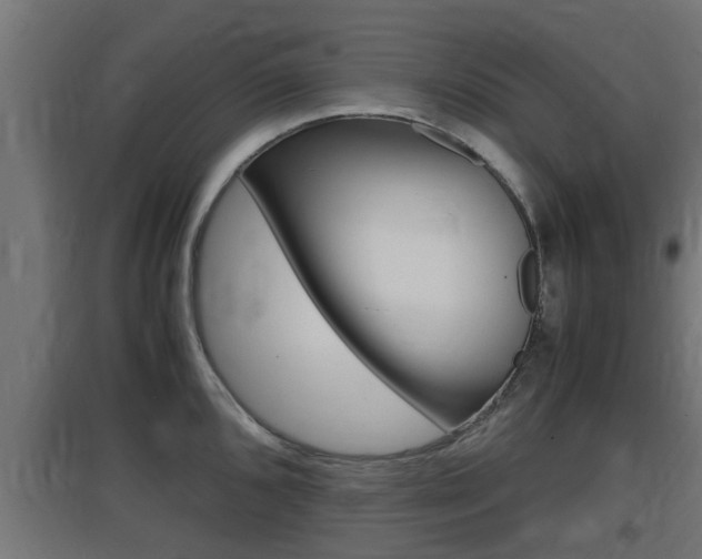 X0000097661096200802290915