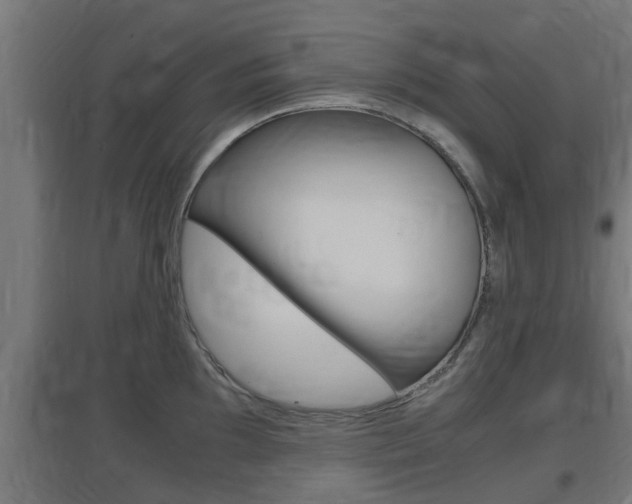X0000097661097200802290915