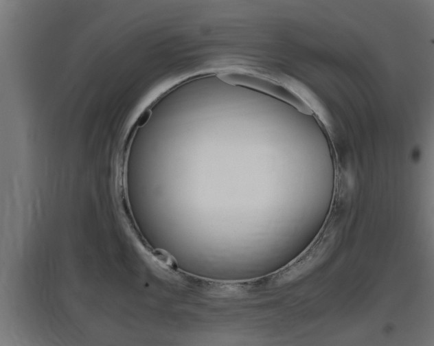 X0000097661101200802290915