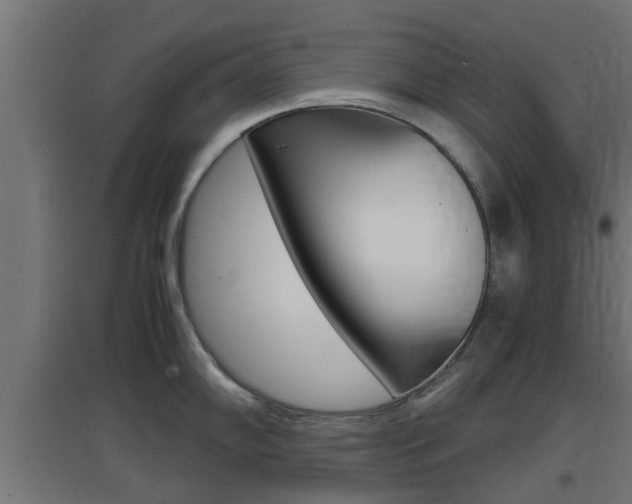 X0000097661102200802290915