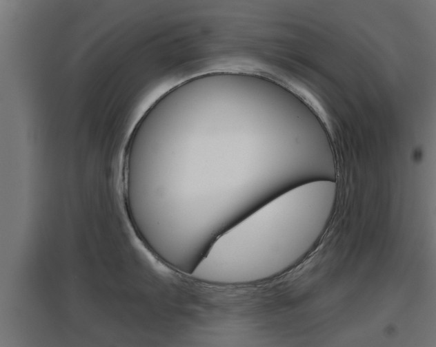 X0000097661103200802290915