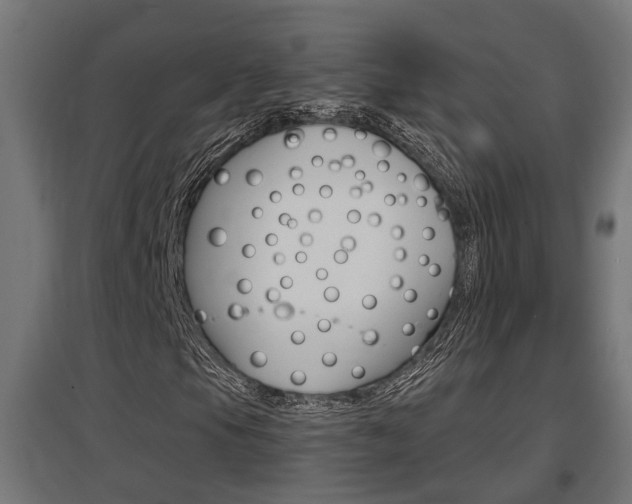 X0000097661105200802290915