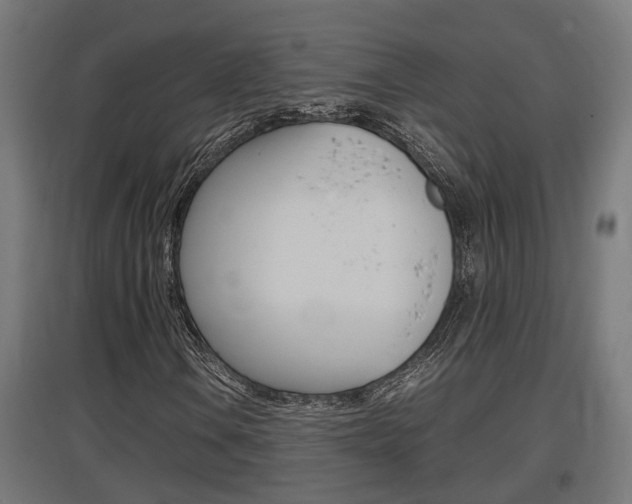 X0000097661106200802290915