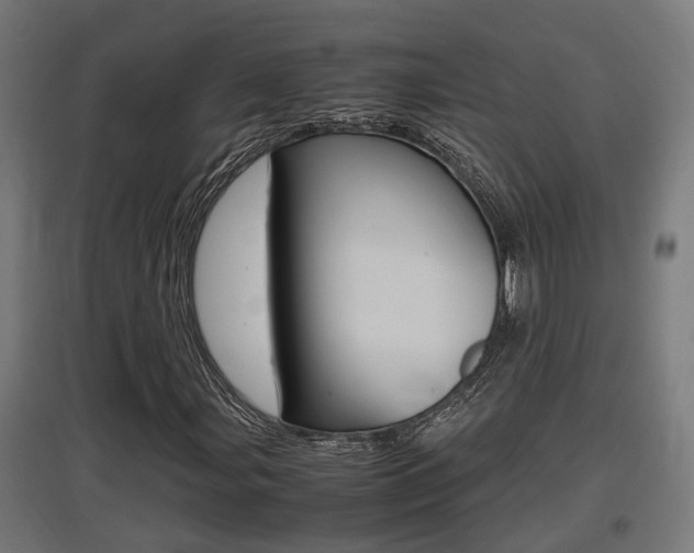X0000097661107200802290915