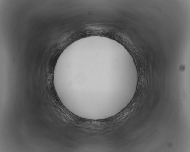 X0000097661109200802290915