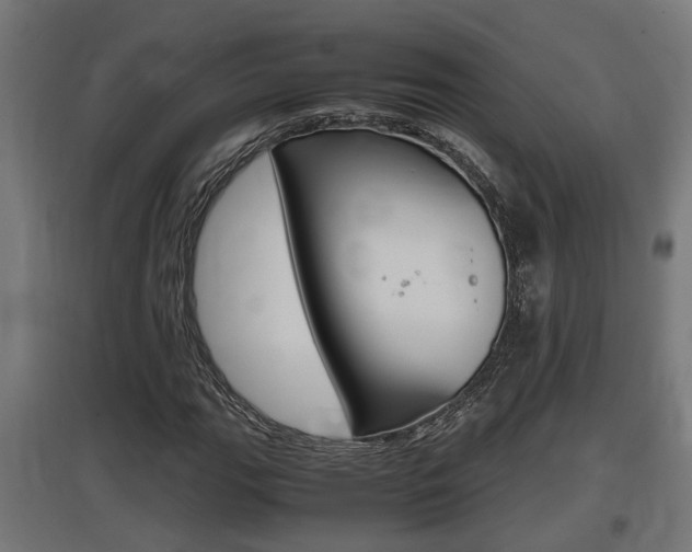X0000097661111200802290915