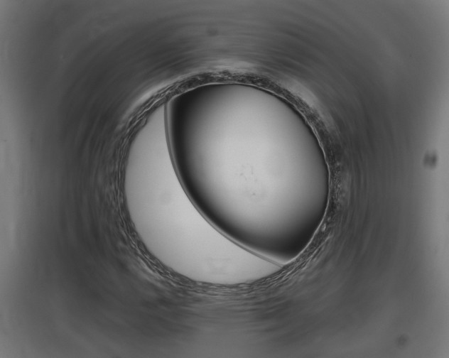 X0000097661112200802290915