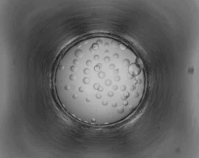 X0000097661113200802290915