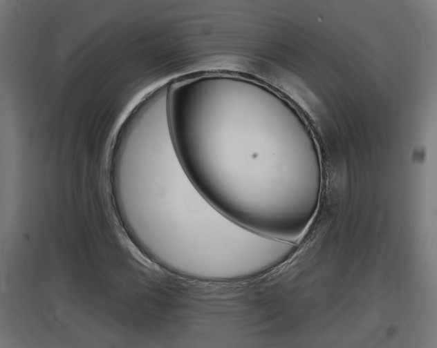 X0000097661116200802290915