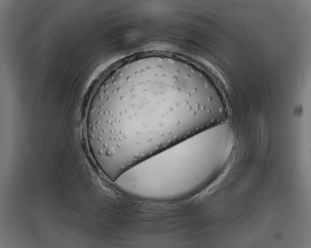 X0000097661117200802290915