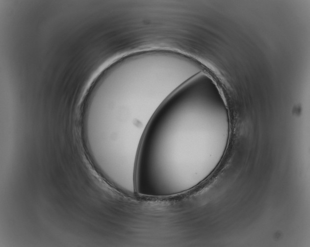 X0000097661118200802290915