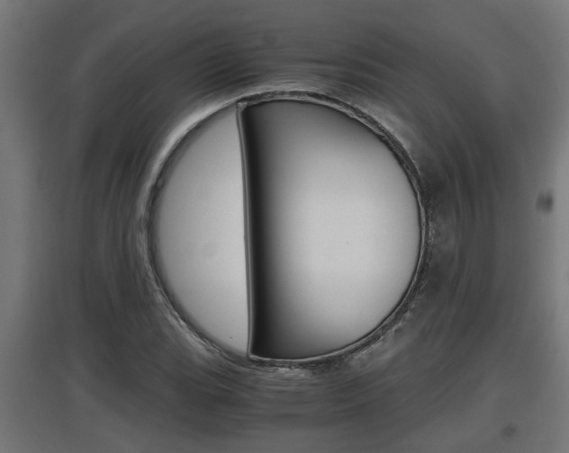 X0000097661119200802290915
