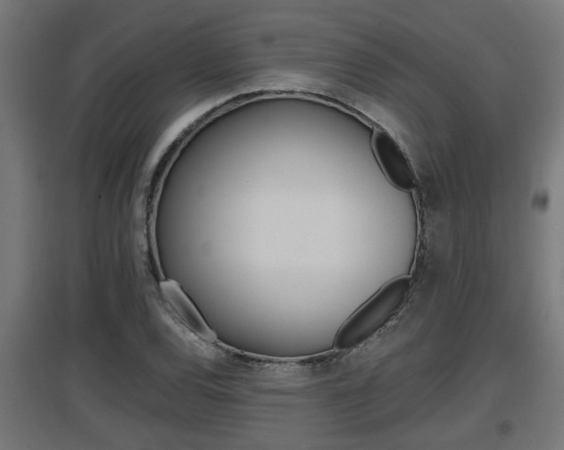 X0000097661120200802290915