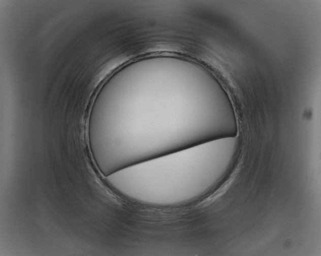 X0000097661121200802290915