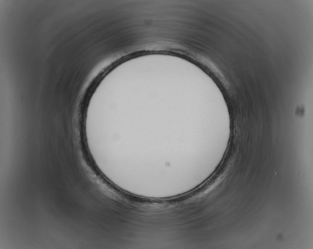 X0000097661122200802290915