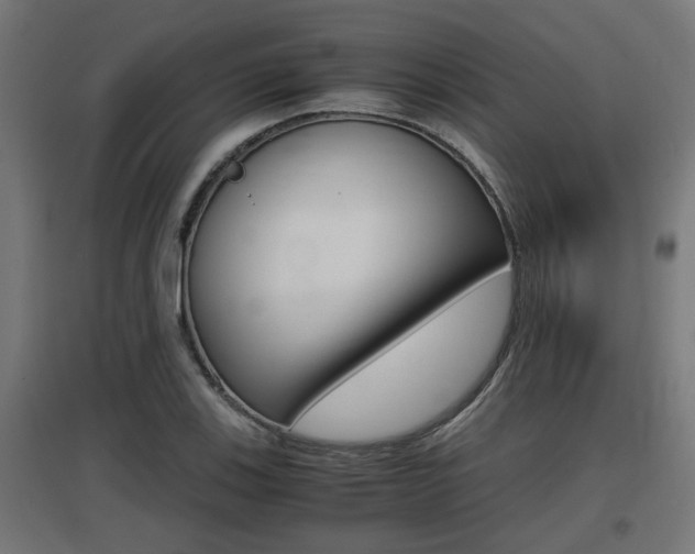 X0000097661123200802290915