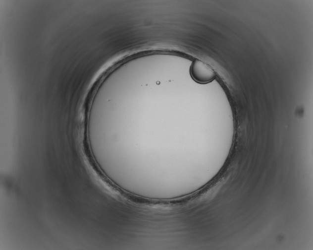 X0000097661126200802290915