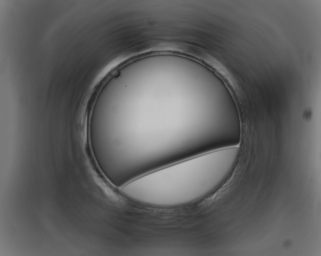 X0000097661127200802290915