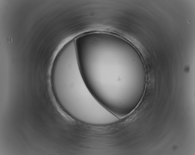 X0000097661128200802290915