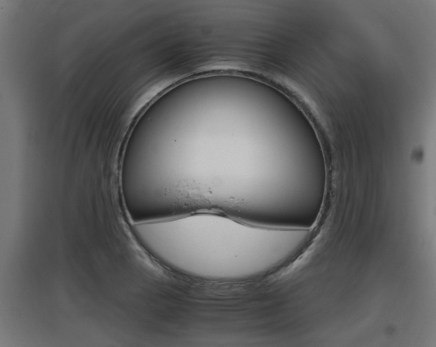 X0000097661129200802290915