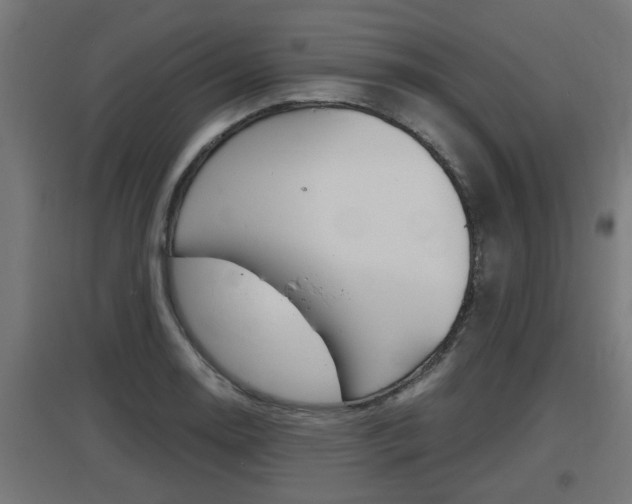 X0000097661130200802290915
