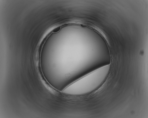 X0000097661131200802290915