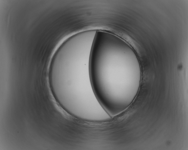X0000097661132200802290915