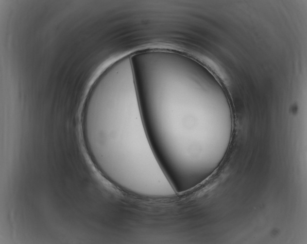 X0000097661133200802290915