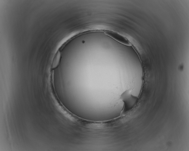 X0000097661134200802290915