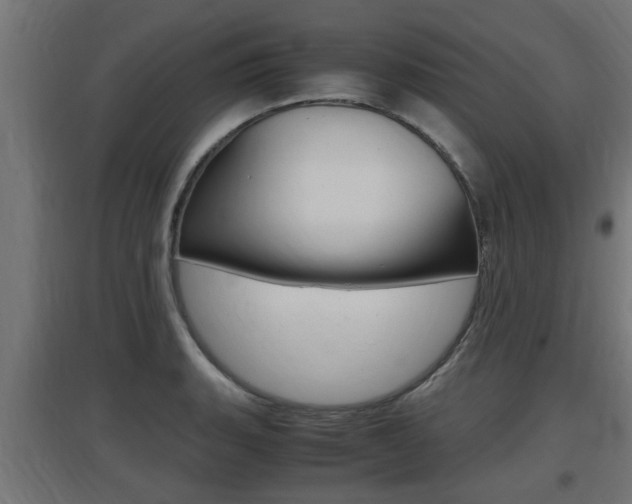 X0000097661135200802290915