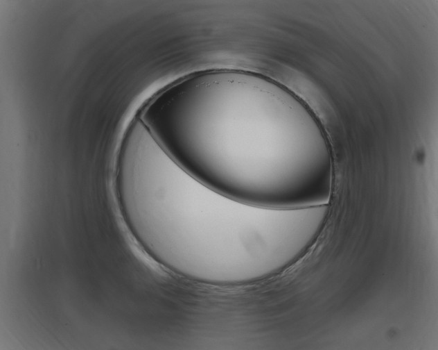 X0000097661136200802290915