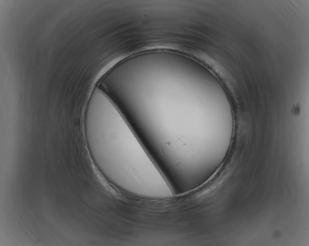 X0000097661137200802290915