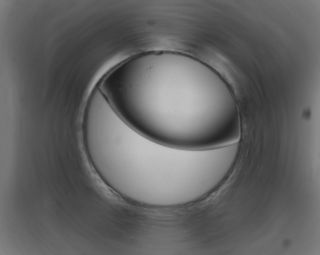 X0000097661138200802290915