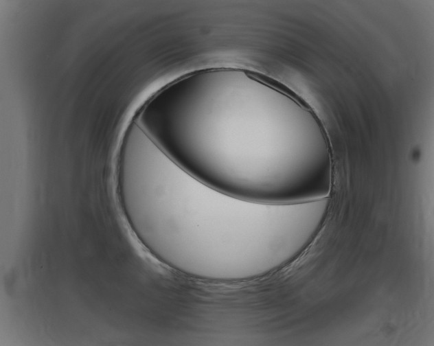 X0000097661144200802290915