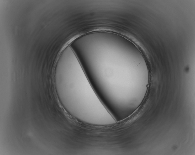 X0000097661145200802290915