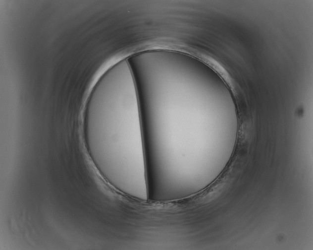 X0000097661146200802290915