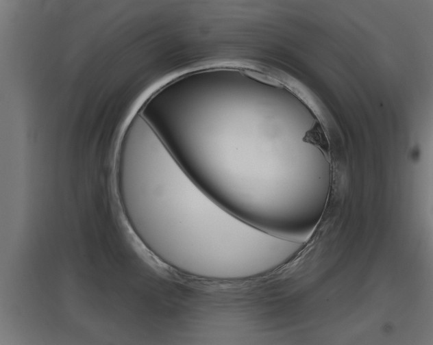 X0000097661148200802290915