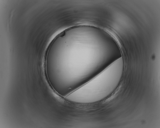 X0000097661149200802290915