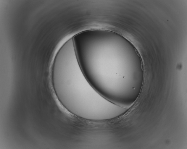 X0000097661152200802290915