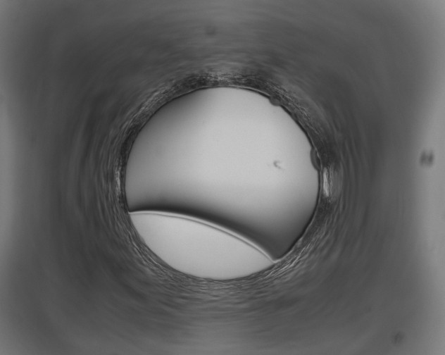 X0000097661155200802290915