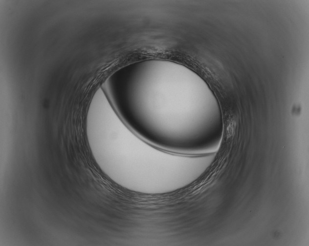 X0000097661156200802290915