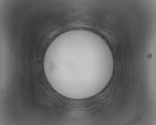 X0000097661157200802290915
